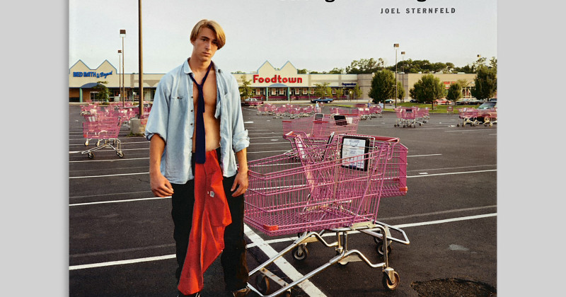 Joel Sternfeld – Stranger Passing, 2001 | Publications | Buchmann